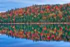 Canada-Quebec-La Mauricie National Park Autumn colors reflected in Lac Modene Art Print